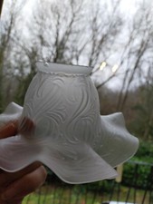 Ancienne tulipe opaque