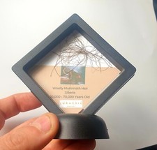 Cadre D'Affichage De Poils De