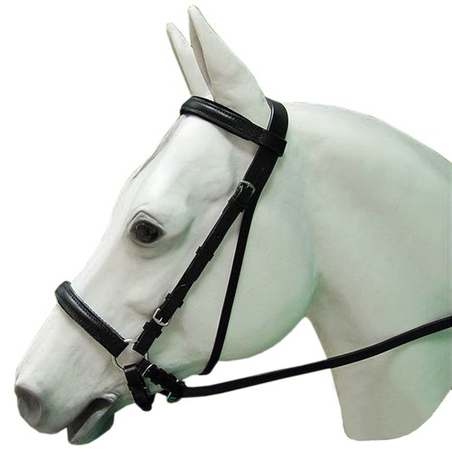 Medium english bitless - medium,