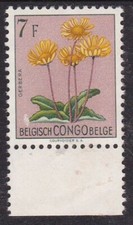 Album Treasures Belgium Congo Scott # 279  7 fr  Gerbera (flower)    MNH