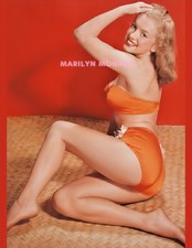 MARILYN MONROE #482 BEAUTIFUL
