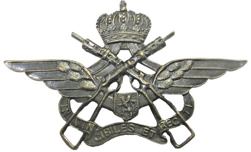 Armée belge insigne en - belge,