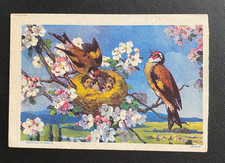 ADVERTISING BLOTTER "BIRDS"