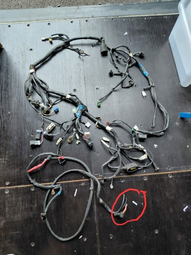 Faisceaux électrique complet - faisceaux,