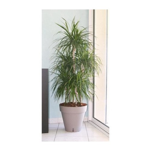 Riviera pot fleurs - pot,