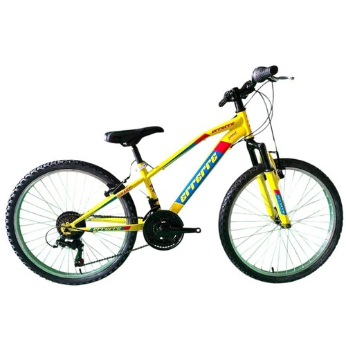 Vélo homme mtb - 24", 18v