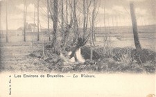 CPA BELGIQUE / WOLUWE SAINT PIERRE / LA WOLUWE