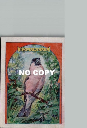 Chromo oiseaux bouvreuil - oiseaux, :