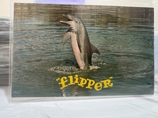 Flipper Dolphin NBC TV Show Miami Seaquarium 1960s MGM Ivan Tors  6