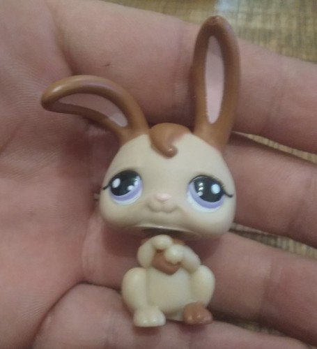 Littlest petshop hasbro - petshop,