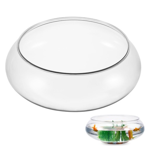 Petit aquarium transparent - aquarium,