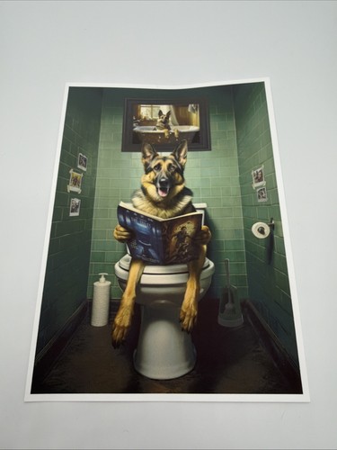 Fiche chien berger allemand - allemand, wc