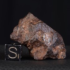 Météorite NWA 15738 de 39,55