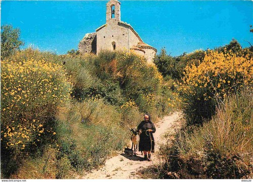 Carte postale animaux - postale,