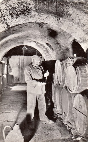 Irancy grands vins rouges - grands,