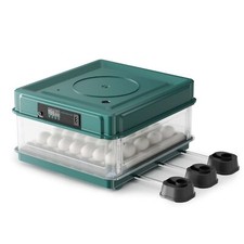 Fudajo Couveuse Poussin 30