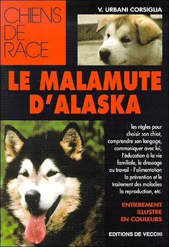 Malamute alaska - malamute, d'alaska