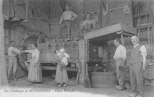 Cpa les vendanges en - 71,