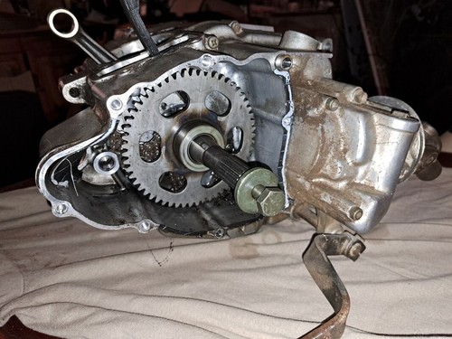 Moteur 250 timberwolf - moteur,