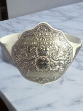 Fandu WWE Big Gold Championship Belt With Black Strap And Silver Plates
