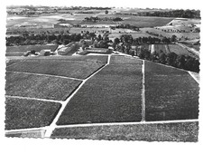 33  PAUILLAC  CHATEAU LAFITE