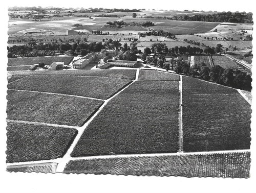 Pauillac chateau lafite - 33,