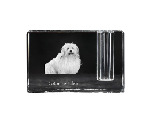 Coton tulear baumwollhund - de, tulear,