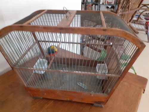 Ancienne cage oiseaux - cage, à