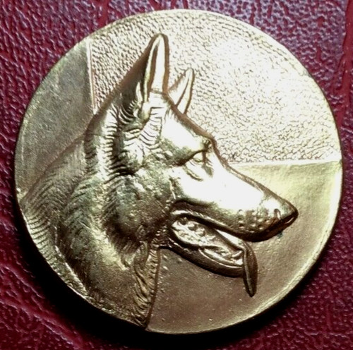 German shepherd berger - shepherd,