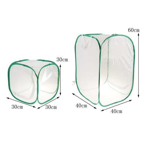 élevage papillons cage - papillons, en