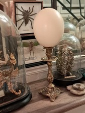 oeuf d'autruche Monté Sur un ancien Bougeoir En Bronze Style Rocaille 