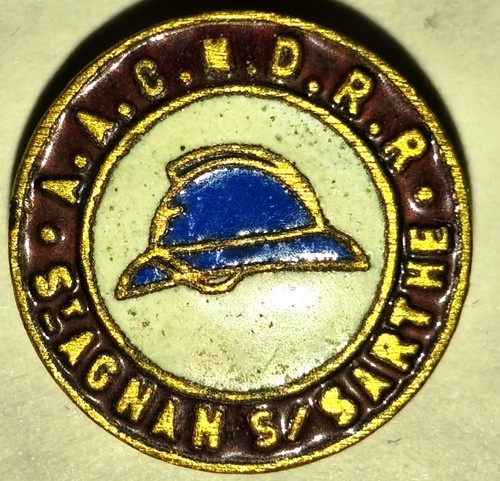 Insigne pucelle vintage - /,