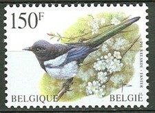 Belgium**MAGPIE-BUZIN Birds-Pie Bavarde-Oiseaux-Ekster-Vogel-Elster-1997