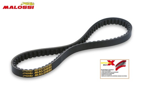 Courroie malossi belt - malossi, x