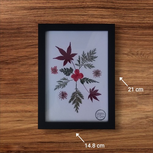 Création herbier fleurs - création,