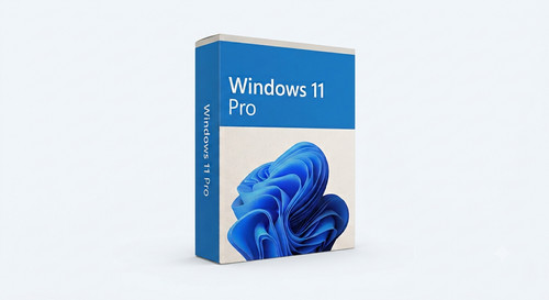 Clè usb windows pro - usb,