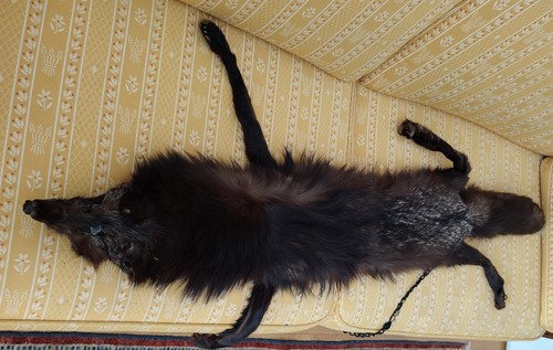 Echarpe fourrure renard - en, de