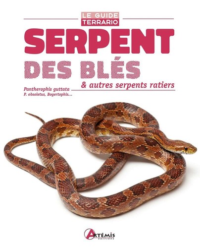 Serpent des blés autres - serpent,