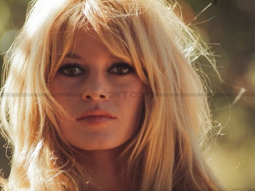 Photo brigitte bardot - photo,