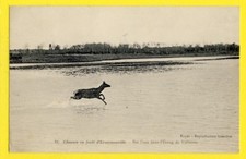 ERMENONVILLE FOREST RACING HUNTING POND deer deer deer beats water