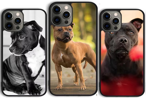Staffordshire bull terrier - staffordshire,