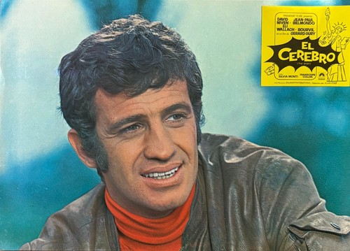 Cerveau belmondo - cerveau, (belmondo