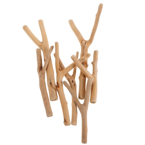 Bois flotté branche - bois,