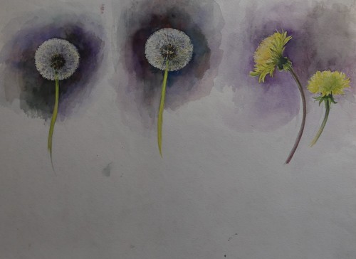 Aquarelle ancienne fleurs fin - aquarelle,