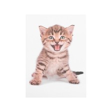  Stickers Abattant Wc Autocollants Muraux Animaux Mural De Salle Bain