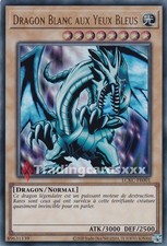 Yu-Gi-Oh! Dragon Blanc aux