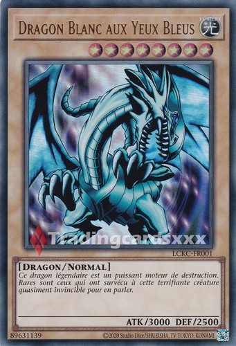 Dragon blanc aux - dragon,