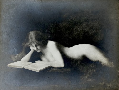 Silver print liseuse - silver, liseuse"