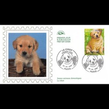 CEF soie - Jeunes animaux