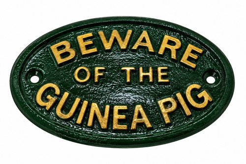 Attention cochon inde - cochon, d'inde